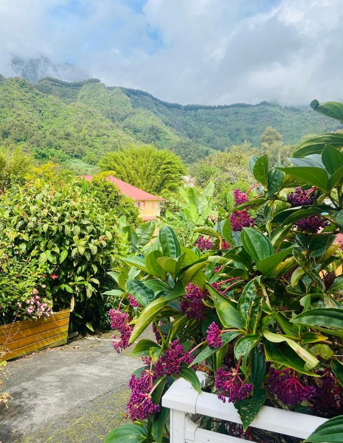 Chambres D'Hotes L'Orchidee Rose Salazie Exteriör bild
