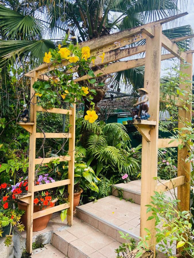 Chambres D'Hotes L'Orchidee Rose Salazie Exteriör bild