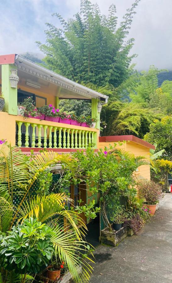Chambres D'Hotes L'Orchidee Rose Salazie Exteriör bild