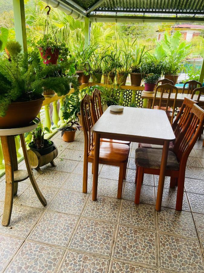 Chambres D'Hotes L'Orchidee Rose Salazie Exteriör bild
