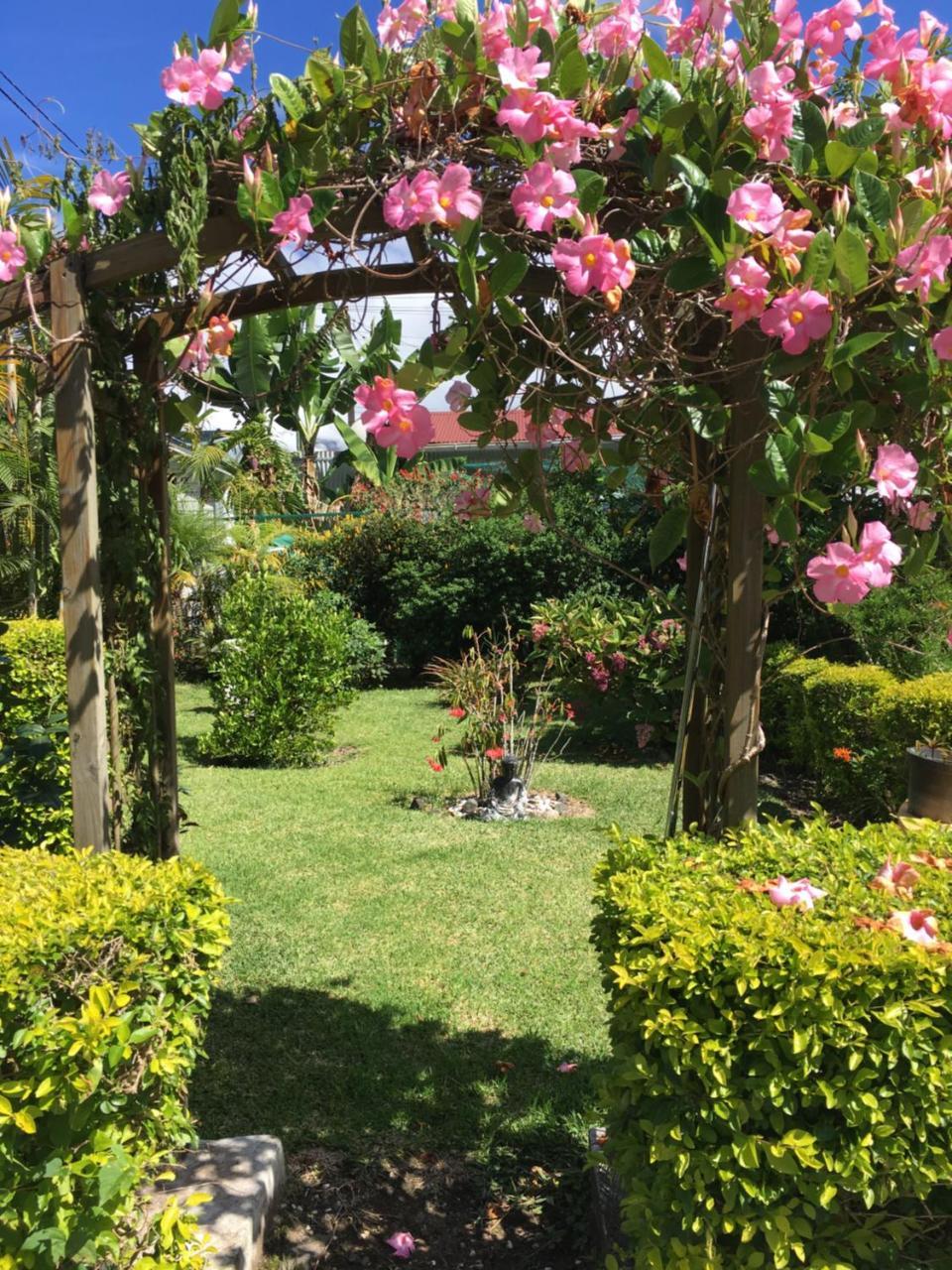 Chambres D'Hotes L'Orchidee Rose Salazie Exteriör bild